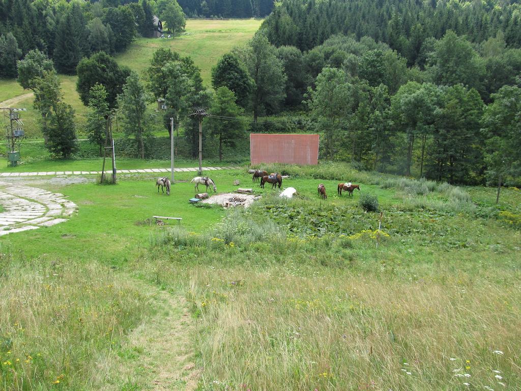 Hotel Horska Bouda Cihalka Olesnice v Orlickych horach Exterior foto