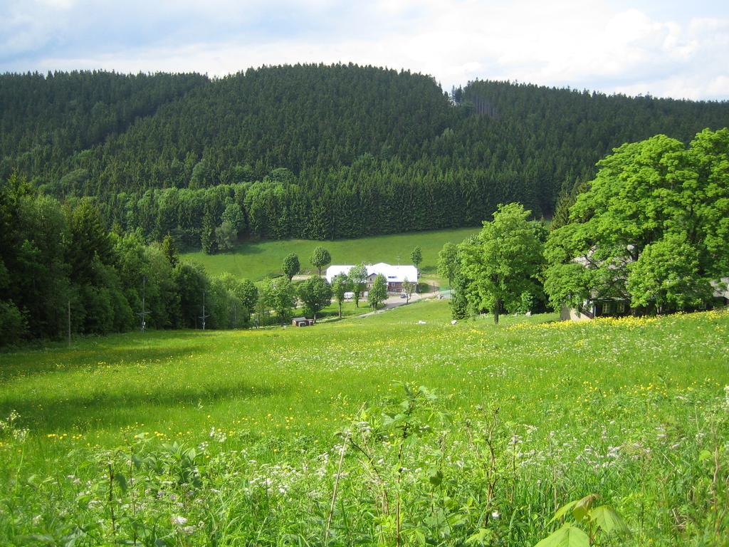 Hotel Horska Bouda Cihalka Olesnice v Orlickych horach Exterior foto